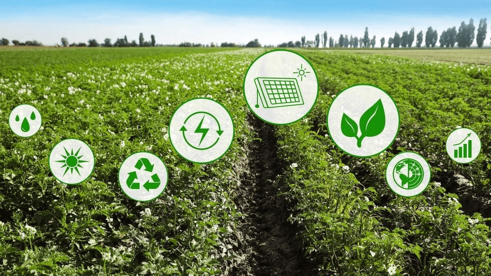 Agricultural Field - Modern Farming Solutions